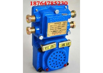 KXH127型礦用聲光組合信號(hào)器正規(guī)蟾皮價(jià)格不高