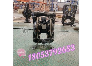 廠家批發(fā)氣動隔膜泵BQG150/0.2隔膜,O型圈