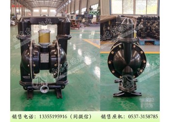 BQG100/0.4氣動隔膜泵東達生產礦用泵價格低