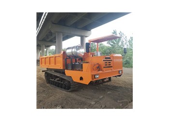 湛江拉毛竹的履帶車 履帶自卸車 農(nóng)用履帶車