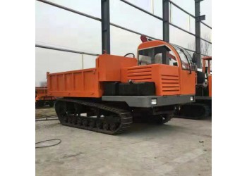 5噸小型履帶運(yùn)輸車 農(nóng)用輸送機(jī) 履帶車