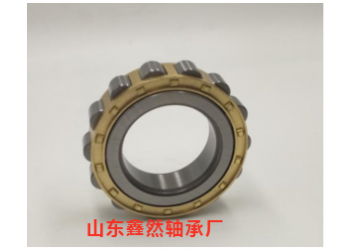 供應圓柱滾子軸承RN309M  502309H