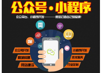 系統(tǒng)軟件、應(yīng)用軟件、網(wǎng)站開發(fā)等 小程序商城/社區(qū)團(tuán)購(gòu)