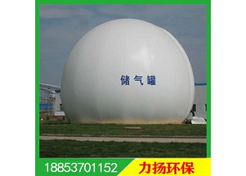膜式氣柜 雙膜氣柜的材質(zhì) 沼氣儲氣柜前期土建方案