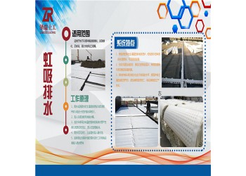 福州H20PVC 蓄排水板土工布廠家價格