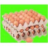 南陽蛋托價格-[石家莊潔盛紙制品]