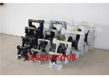 2寸隔膜泵BQG200廠家現(xiàn)貨供應(yīng)氣動(dòng)隔膜泵