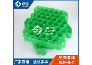婁底市停車場(chǎng)花園土工平口植草板