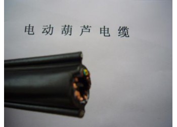 供應（維爾特）YR，YRP，YRF電動葫蘆電纜