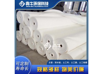 德宏道路加筋養(yǎng)護(hù)土工布款式新穎