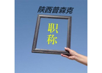 陜西省正高工程師職稱評(píng)審范圍和條件