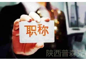 陜西省這邊副高級職稱評審的條件和業(yè)績要求