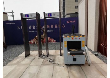 北京安檢門出租安檢機(jī)出租安檢設(shè)備出租