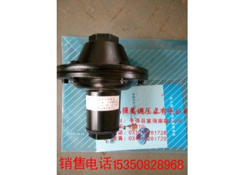 供應RAF型燃氣安全放散閥