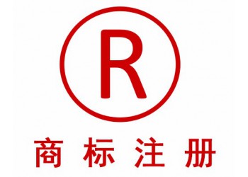 菏澤TM是怎么回事？與R有什么區別