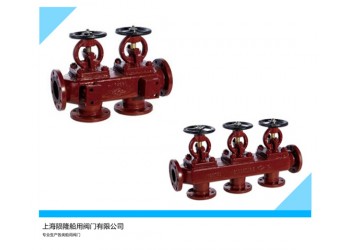 船用鑄鐵法蘭單排吸入截止止回閥箱GB1855-93