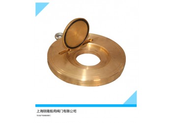 船用不銹鋼青銅板式止回閥CB/T3819-99