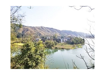 茶園加盟，茶山加盟，轉運珍茶