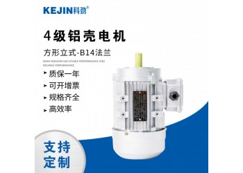 YS系列三相異步鋁殼電機(jī)交流馬達(dá)微型電動(dòng)機(jī)380