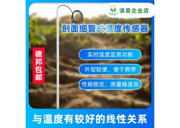 溫度傳感器細管溫度傳感器剖面細管式溫度傳感器