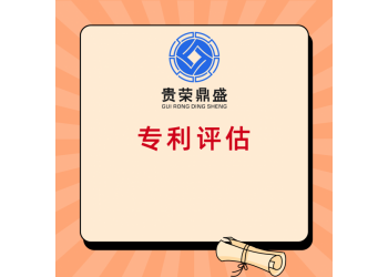 漳洲市專利商標(biāo)實(shí)繳評(píng)估股權(quán)價(jià)值評(píng)估知識(shí)產(chǎn)權(quán)評(píng)估