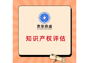 合肥市專利商標(biāo)軟著評(píng)估無形資產(chǎn)評(píng)估知識(shí)產(chǎn)權(quán)評(píng)估