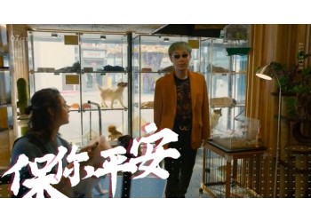 電影《保你平安》投資靠譜嗎？個人該找誰投資？