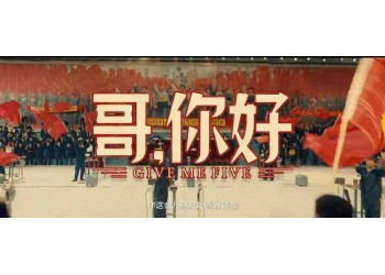 哥你好為什么撤檔?預計什么時候上映?想投資還有份額嗎?