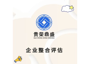 四川省綿陽市企業(yè)股權(quán)評估企業(yè)資產(chǎn)評估改制評估