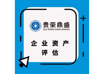 貴州省貴陽市企業(yè)股權(quán)價(jià)值評估股東價(jià)值評估企業(yè)負(fù)債評估