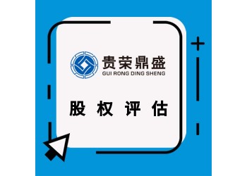 成都市天府新區(qū)企業(yè)兼并收購或分立評估合資評估承包評估