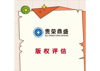 成都市浦江縣公司的無形資產怎么評估知識產權評估方法有哪些