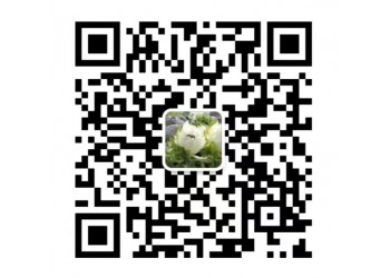 外太空的莫扎特z大的投資優勢是?真的可以帶動票房嗎?