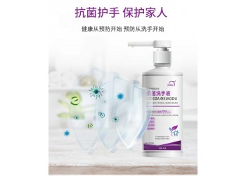 洗得寶牌抗菌洗手液殺菌清潔去污