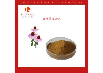 供應紫錐菊提取物菊苣酸1%  2%  3% 4%