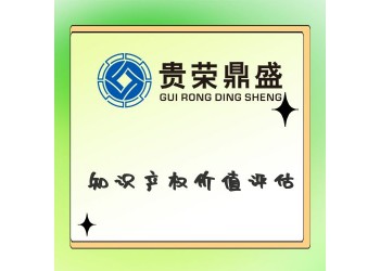 浙江省紹興市資產(chǎn)評估機(jī)構(gòu)知識產(chǎn)權(quán)價(jià)值評估今日新訊