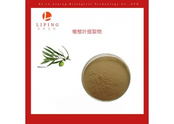供應橄欖苦甙   橄欖葉提取物羥基酪醇20% 40%