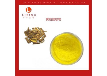 供應(yīng)黃柏提取物黃連素97%98%