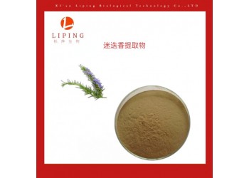 供應迷迭香提取物鼠尾草酸10%50%