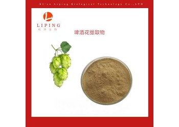 供應植物提取物粉末 啤酒花提取物啤酒花黃酮5%10%