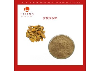虎杖提取物白藜蘆醇15% 50%?98%現貨供應