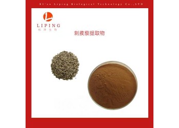 供應刺蒺藜提取物刺蒺藜總皂甙40% 90%
