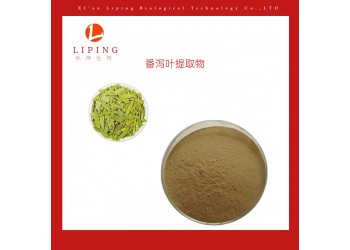 供應番瀉葉提取物 水溶性番瀉葉提取物