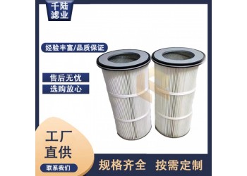 供應圓盤法蘭除塵濾筒 覆膜防靜電上裝法蘭式除塵濾芯