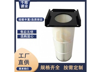 方盤法蘭除塵濾芯 覆膜防靜電方法蘭式除塵濾筒供應