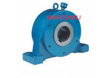 帶式輸送機(jī)用逆止器 滾柱式逆止器 減速機(jī)輸送機(jī)配件
