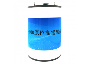 AMT/TN-300型原位總氮水質(zhì)分析儀