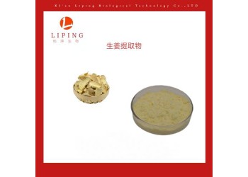 供應(yīng)生姜提取物姜辣素1%5%10% 水溶性生姜粉