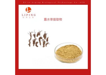 西安櫟萍生物推薦珍珠露水草提取物蛻皮激素90%95%98%