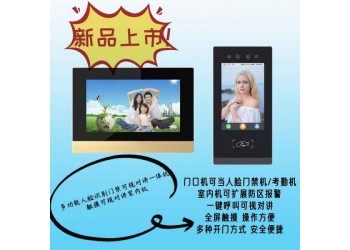 迪縵斯數(shù)字人臉數(shù)字門口機(jī)門禁機(jī)+7寸可視門鈴